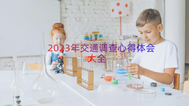 2023年交通调查心得体会大全（13篇）