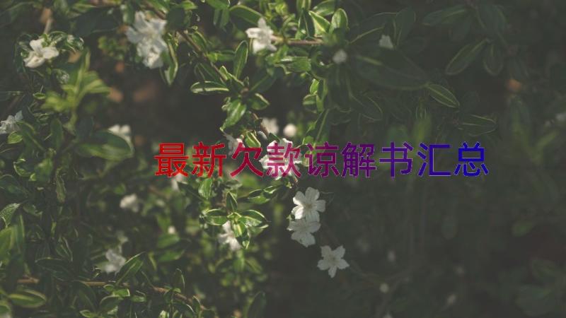 最新欠款谅解书（汇总16篇）