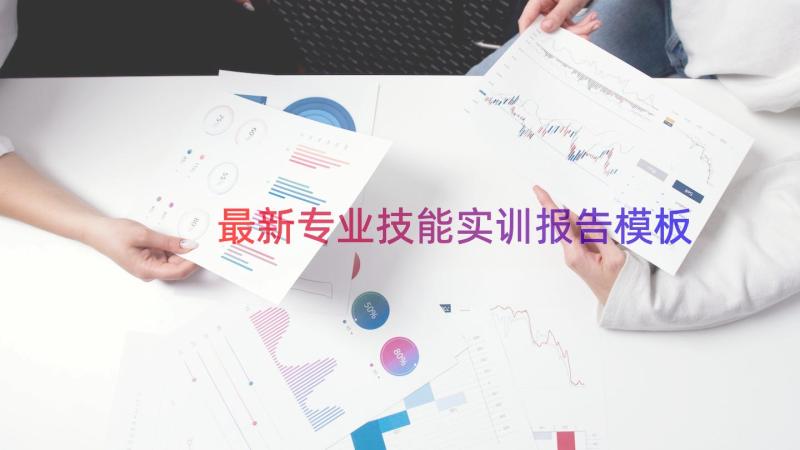 最新专业技能实训报告（模板12篇）