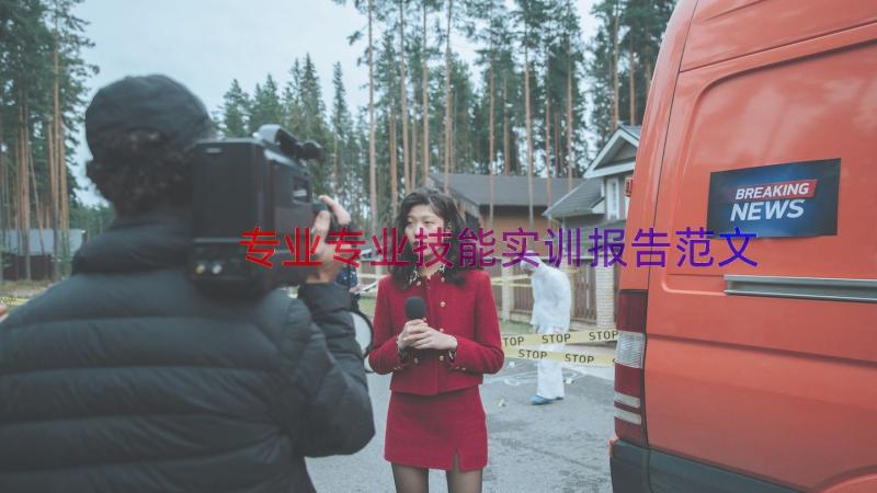 专业专业技能实训报告范文（13篇）