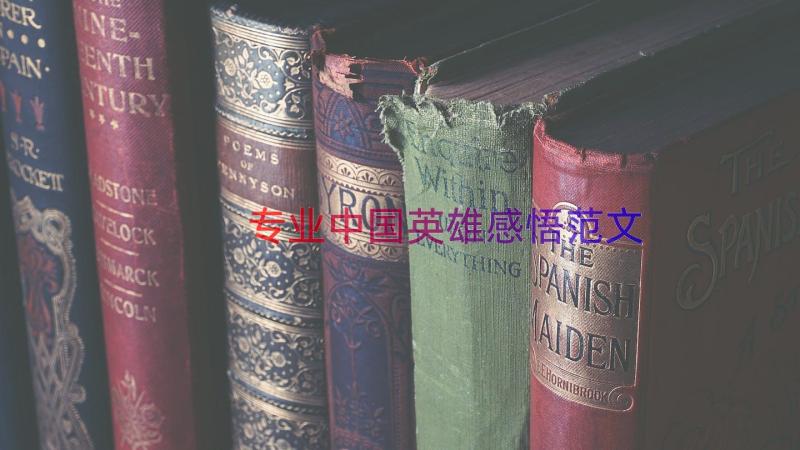 专业中国英雄感悟范文（18篇）