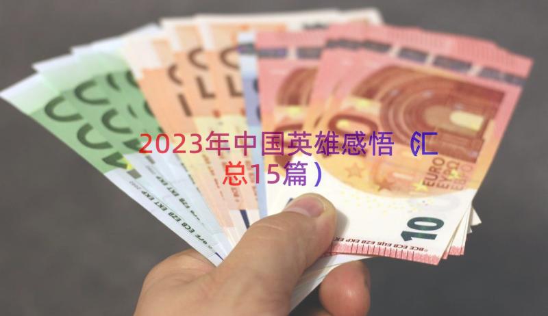 2023年中国英雄感悟（汇总15篇）