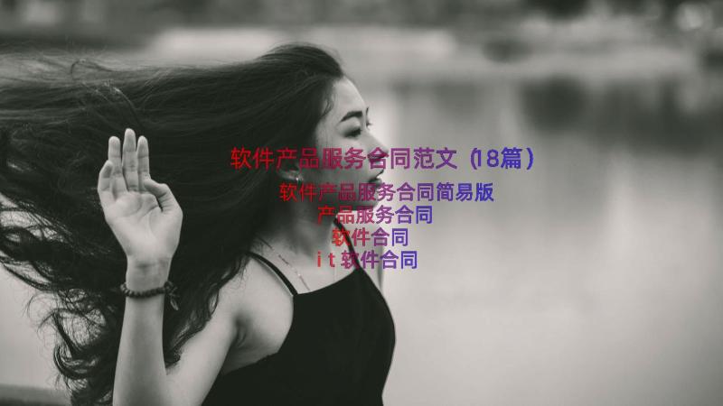 软件产品服务合同范文（18篇）