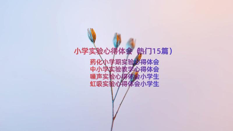 小学实验心得体会（热门15篇）