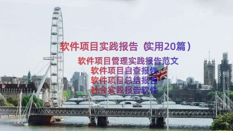 软件项目实践报告（实用20篇）