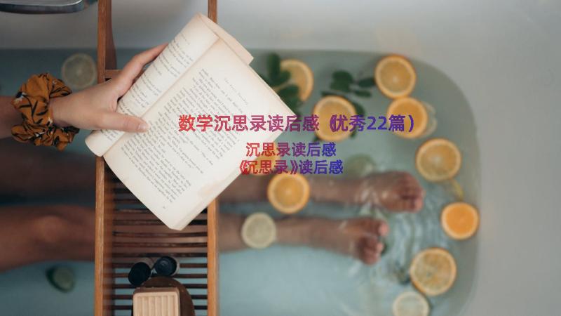 数学沉思录读后感（优秀22篇）