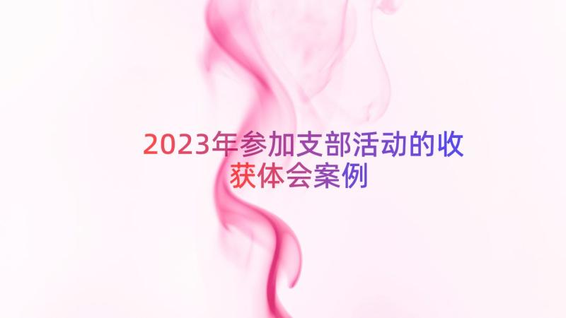 2023年参加支部活动的收获体会（案例16篇）