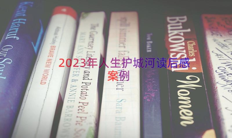 2023年人生护城河读后感（案例13篇）