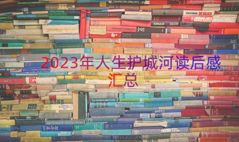 2023年人生护城河读后感（汇总12篇）