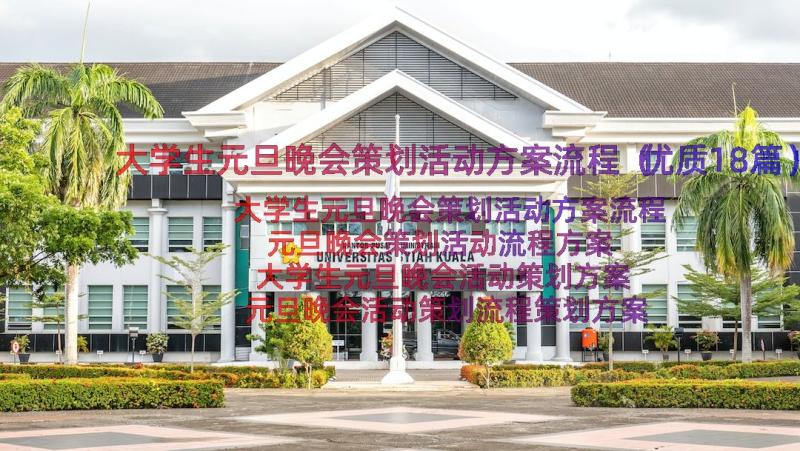 大学生元旦晚会策划活动方案流程（优质18篇）