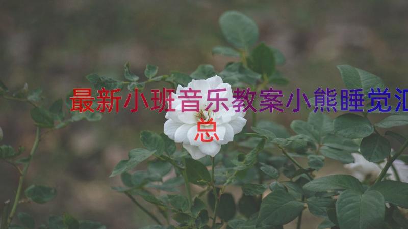 最新小班音乐教案小熊睡觉（汇总15篇）