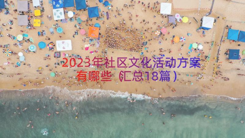 2023年社区文化活动方案有哪些（汇总18篇）