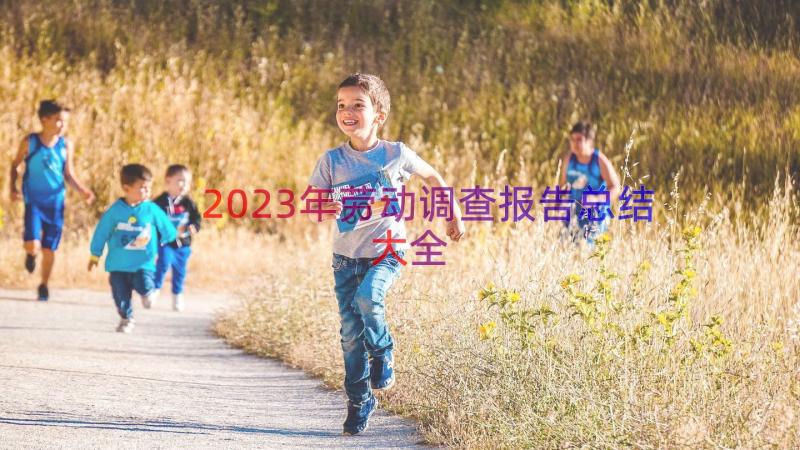 2023年劳动调查报告总结大全（16篇）