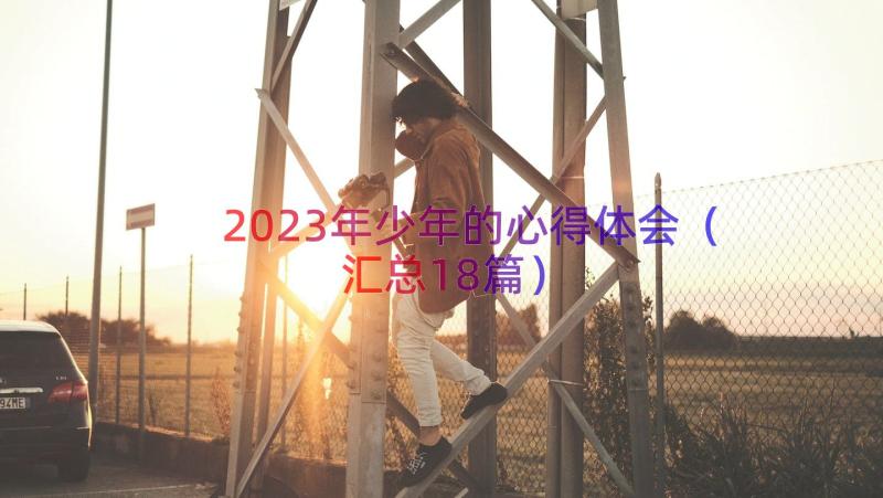 2023年少年的心得体会（汇总18篇）