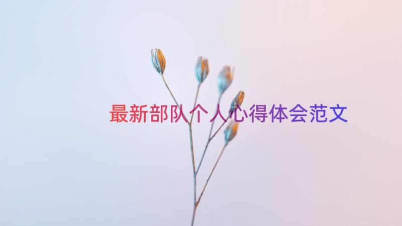 最新部队个人心得体会范文（15篇）