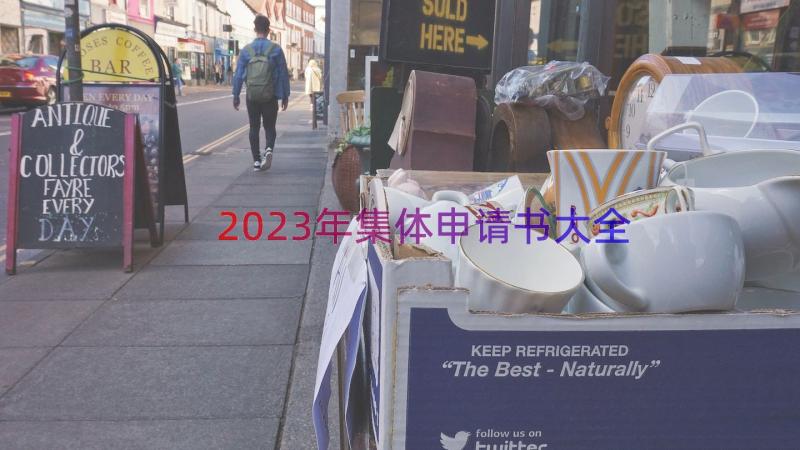 2023年集体申请书大全（15篇）