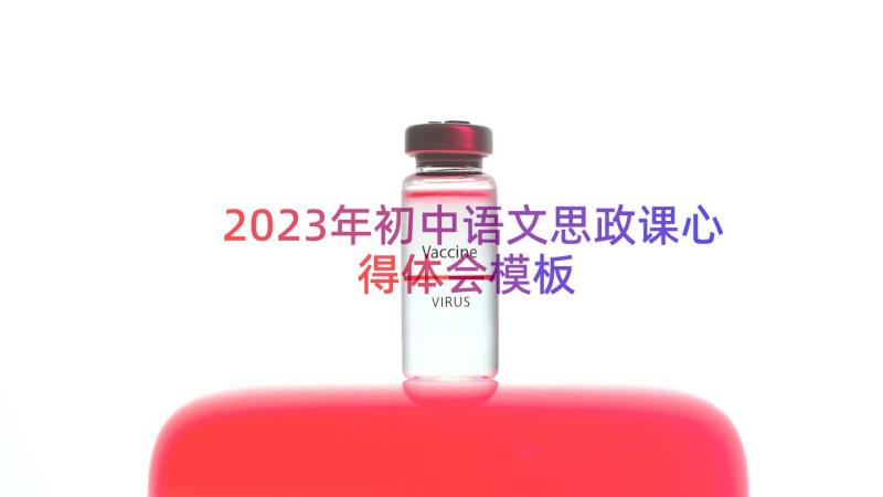 2023年初中语文思政课心得体会（模板16篇）