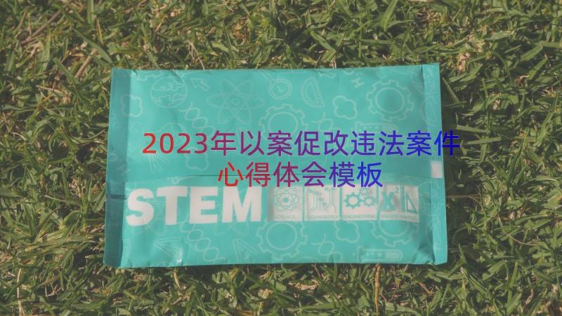 2023年以案促改违法案件心得体会（模板16篇）