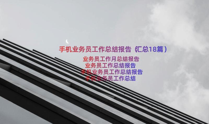 手机业务员工作总结报告（汇总18篇）