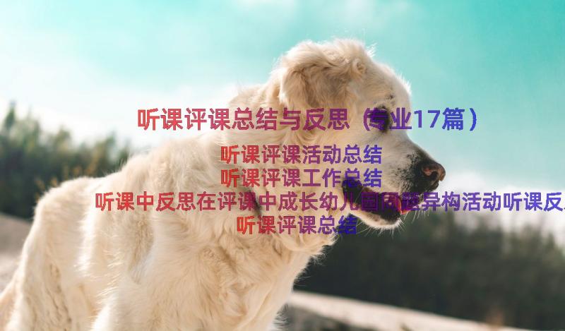 听课评课总结与反思（专业17篇）