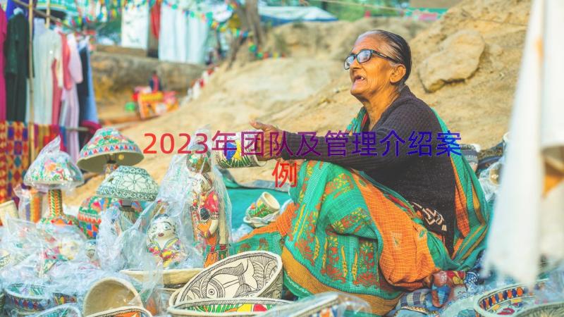 2023年团队及管理介绍（案例17篇）