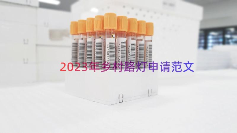 2023年乡村路灯申请范文（17篇）