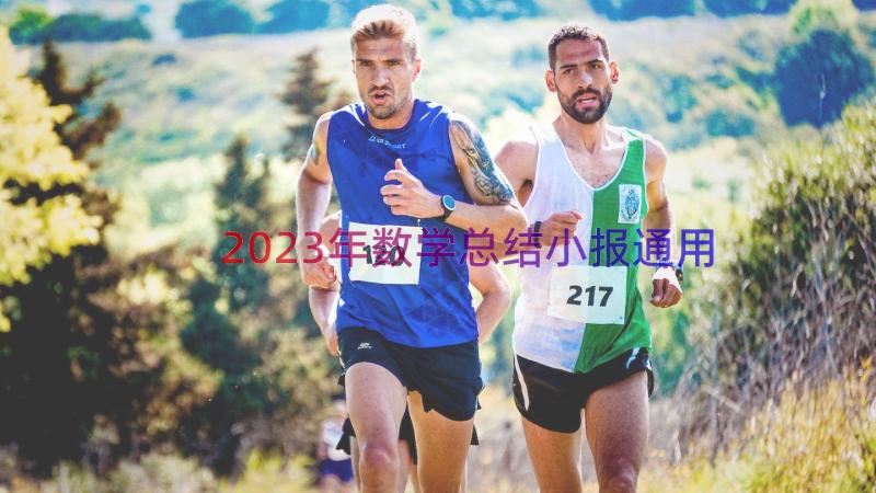 2023年数学总结小报（通用15篇）