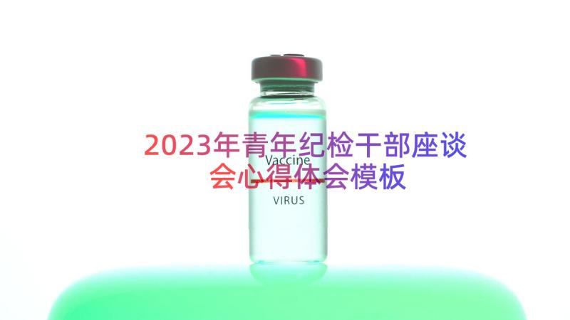 2023年青年纪检干部座谈会心得体会（模板15篇）