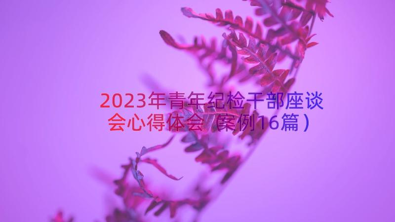 2023年青年纪检干部座谈会心得体会（案例16篇）