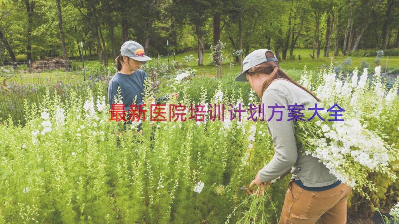 最新医院培训计划方案大全（12篇）