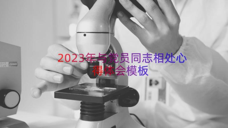 2023年与党员同志相处心得体会（模板14篇）