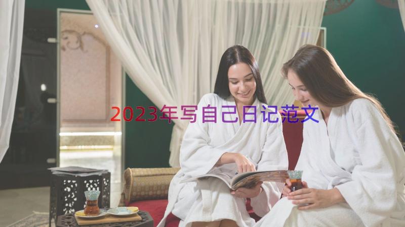 2023年写自己日记范文（12篇）