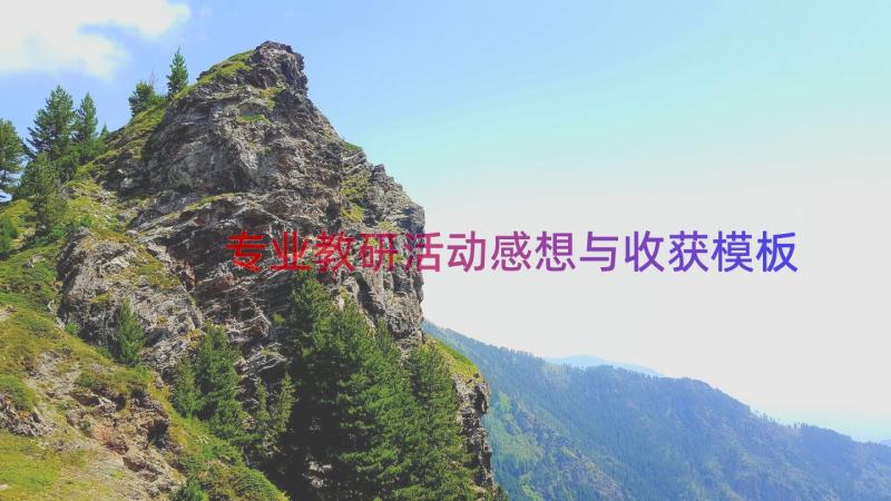 专业教研活动感想与收获（模板15篇）