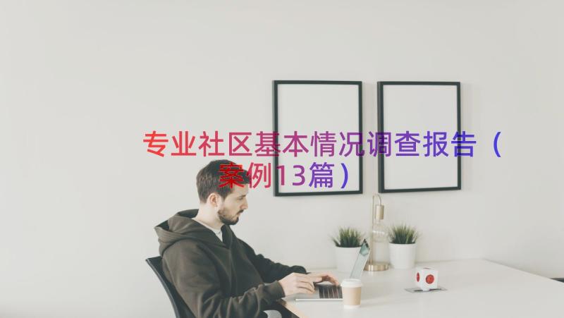 专业社区基本情况调查报告（案例13篇）