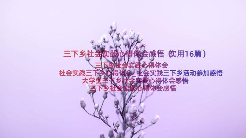 三下乡社会实践心得体会感悟（实用16篇）