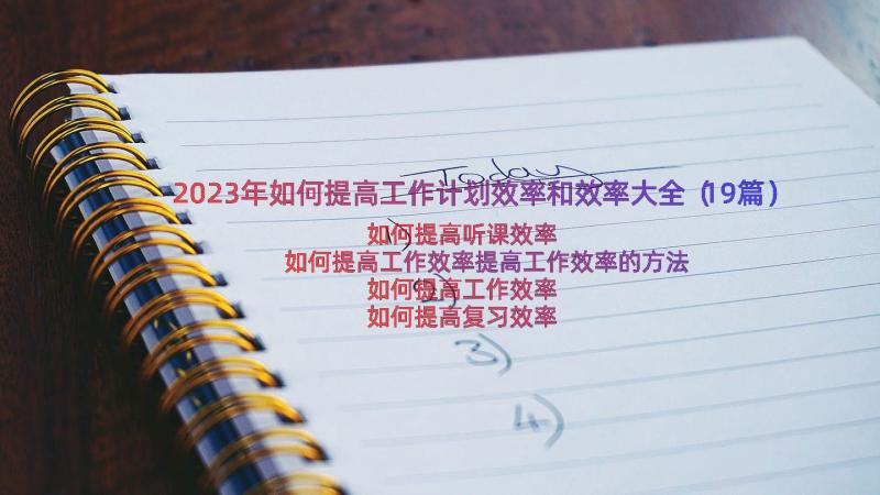 2023年如何提高工作计划效率和效率大全（19篇）