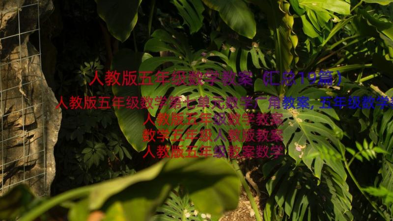 人教版五年级数学教案（汇总19篇）