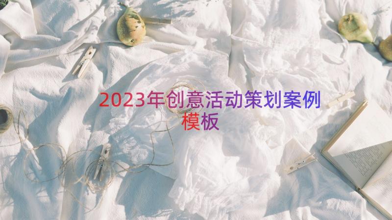 2023年创意活动策划案例（模板14篇）