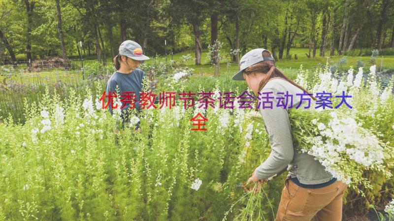 优秀教师节茶话会活动方案大全（15篇）