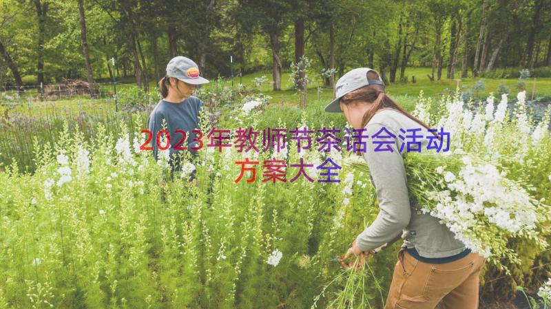 2023年教师节茶话会活动方案大全（17篇）