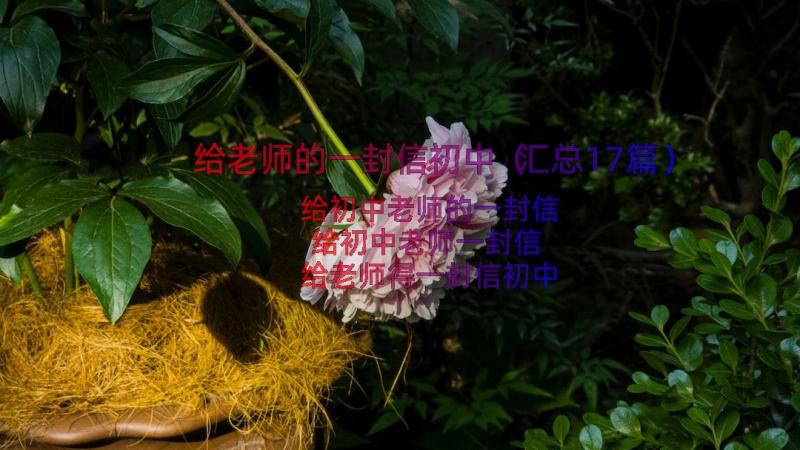 给老师的一封信初中（汇总17篇）