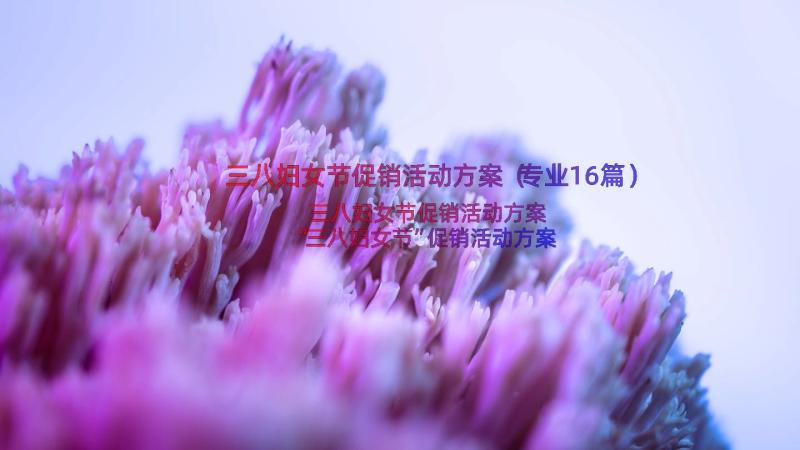 三八妇女节促销活动方案（专业16篇）