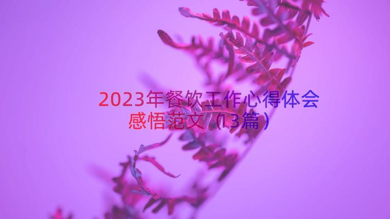 2023年餐饮工作心得体会感悟范文（13篇）