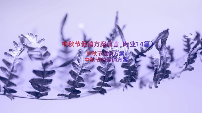 中秋节促销方案前言（专业14篇）