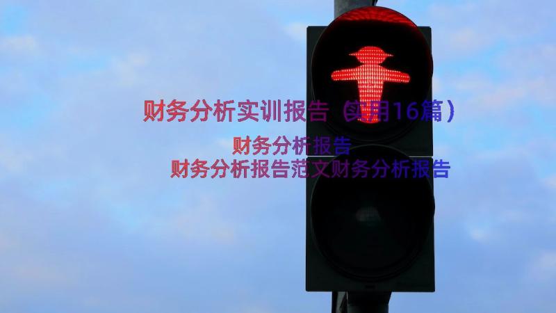 财务分析实训报告（实用16篇）