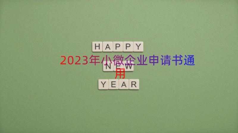 2023年小微企业申请书（通用13篇）