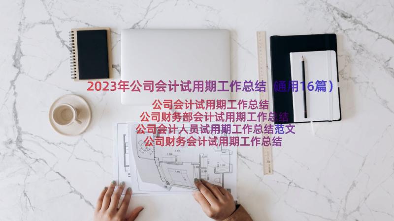 2023年公司会计试用期工作总结（通用16篇）