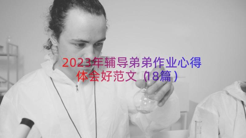 2023年辅导弟弟作业心得体会好范文（18篇）