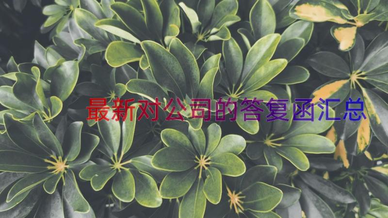 最新对公司的答复函（汇总15篇）