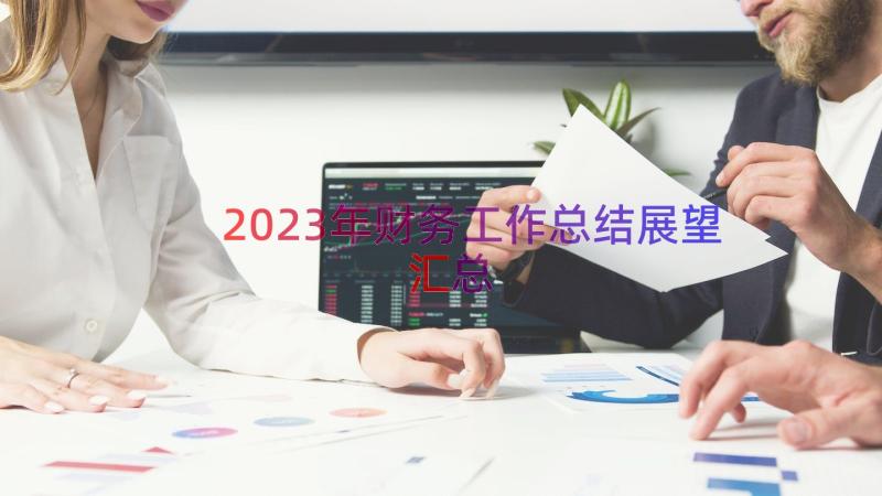 2023年财务工作总结展望（汇总19篇）